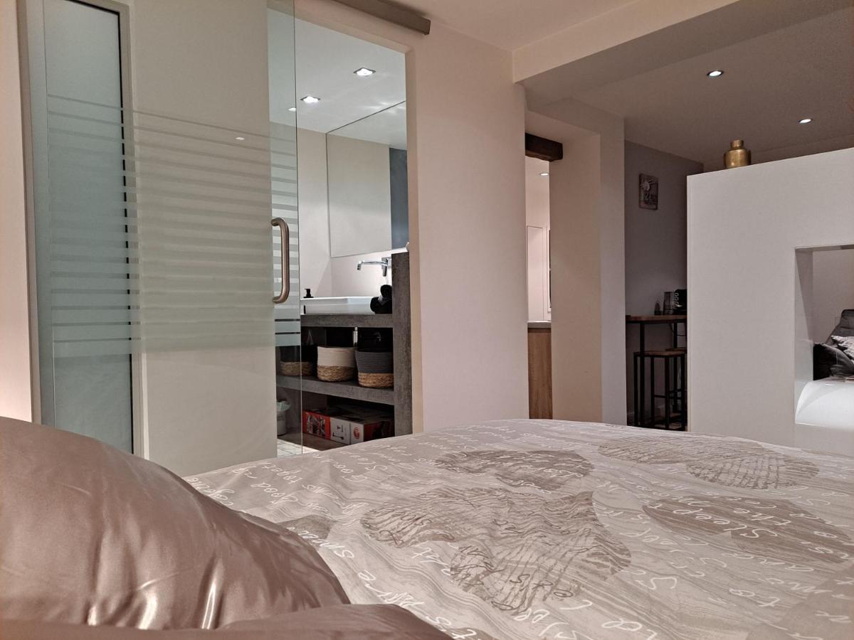 Boigne Sweet Suite Chambéry Buitenkant foto